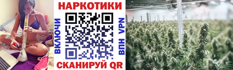 Купить наркоту Новоаннинский МАРИХУАНА  MEGA   Амфетамин  Экстази  Гашиш  Cocaine  APVP 