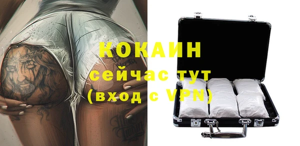 мяу мяу мука Аркадак