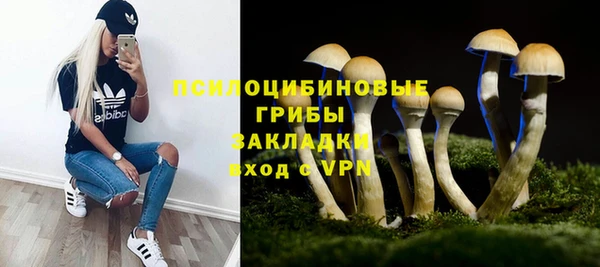ГАЛЛЮЦИНОГЕННЫЕ ГРИБЫ Армянск