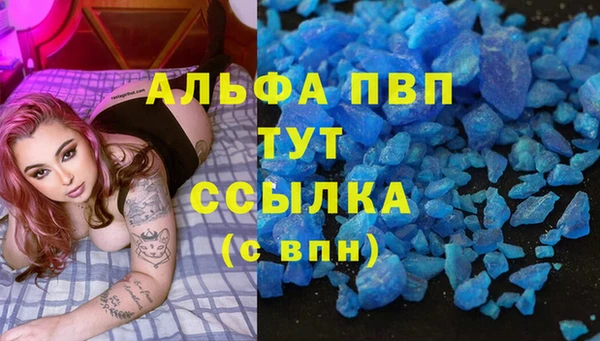мяу мяу мука Аркадак