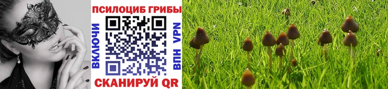 Псилоцибиновые грибы MAGIC MUSHROOMS  купить   Новоаннинский 
